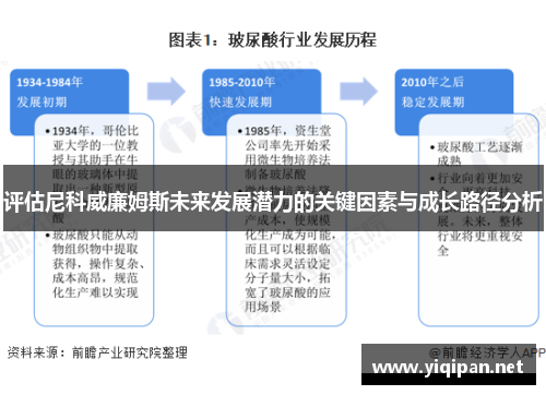 评估尼科威廉姆斯未来发展潜力的关键因素与成长路径分析